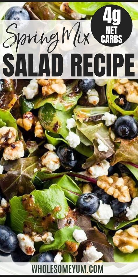 Spring Mixed Salad Recipes, Lettuce Salad With Blueberries, Healthy Goat Cheese Salad, Green Salad With Blueberries, Recipes Using Spring Mix Salad, Salads With Goat Cheese Recipes, Blueberry Vinaigrette Dressing, Easy Spring Mix Salad Recipes, Spring Salad Mix Recipes