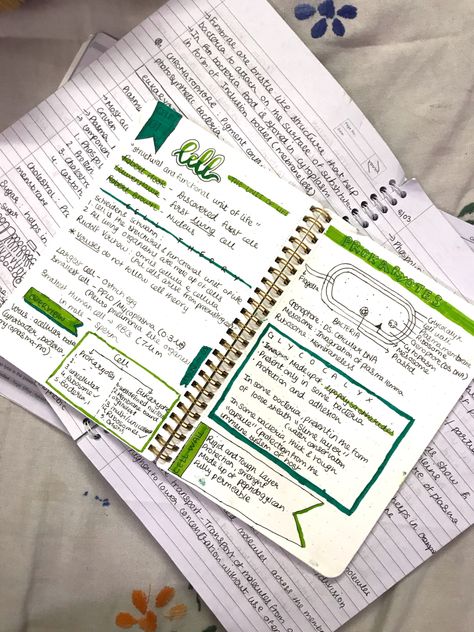 Notes Of Biology, Gcse Science, Biology Notes, Pretty Notes, Notes Inspiration, Aesthetic Green, Green Aesthetic, Biology, Bullet Journal