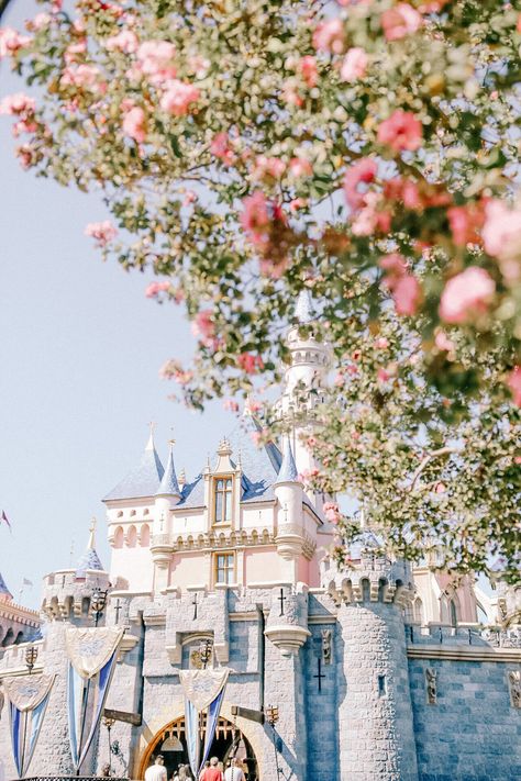 The Happiest Guide | Disneyland Vintage Disneyland Aesthetic, Disneyland Wallpaper Aesthetic, Aesthetic Disneyland, Disneyland Guide, Disneyland Aesthetic, Disneyland Photography, Disneyland Secrets, Disney Photo Ideas, Year Goals