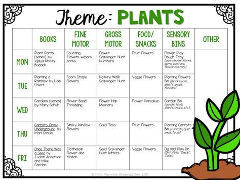 Tons of fun Plant themed activities and ideas perfect for tot school, preschool, or the kindergarten classroom. Plants Lesson Plans, Tot School Themes, Science Activities For Toddlers, Daycare Lesson Plans, Plant Lessons, Daycare Curriculum, Planning School, Daycare Themes, Toddler Curriculum