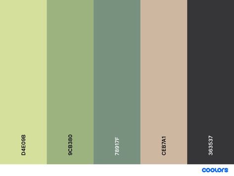 Tea Color Palette, Bright Color Palette, Diary Covers, Color Pallete, Color Palette Bright, Palette Color, Matcha Tea, Colour Images, Bright Color