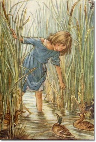 The Lord of the Rushie River - Where the Wild Duck Had Their Homes Wild Duck, Cicely Mary Barker, Magazine Illustration, Illustration Vintage, Flower Fairies, Art Et Illustration, Art And Illustration, Fairy Art, Fantasy Illustration