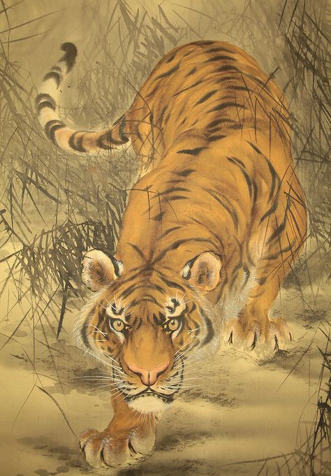 Tiger Crouching, Digital Sketchbook, Crouching Tiger, Oc Inspiration, Bicep Tattoo, Tiger Art, Tiger Tattoo, Inspiration Boards, Wildlife Art