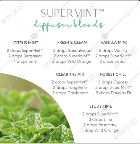 Mint Diffuser Blends, Mint Oil, Wild Orange, Diffuser Blends, Fresh And Clean, Oil Blend, Essential Oil, Essential Oils, Mint