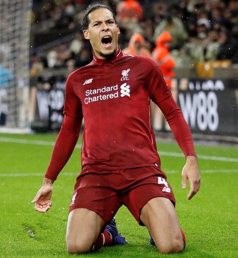 Virgil Van Dijk Celebration, Anfield Stadium, Liverpool Champions, Liverpool Team, Virgil Van Dijk, Van Dijk, Liverpool Football Club, Liverpool Football, Liverpool Fc