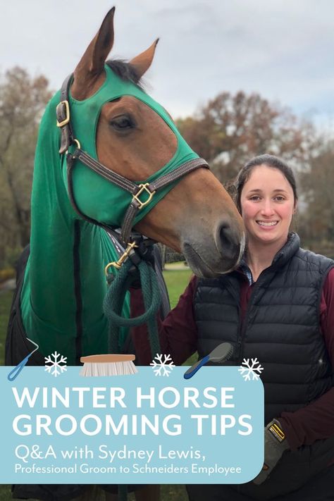 Winter Horse Grooming Tips Horse Grooming Tips, Grooming Hacks, Tips For Winter, Winter Horse, Horse Tail, Horse Grooming, Grooming Tips, Some Questions, Horse Care