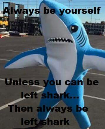 Always be left shark. Left Shark, Sharks Funny, Funny Animal Quotes, Shark Week, White Sharks, Animal Quotes, Funny Animal, Katy Perry, Sharks