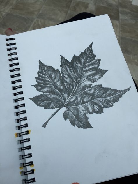 Tonal drawing of a leaf Tonal Drawing, Beautiful Pencil Drawings, Natural Form Art, Pencil Drawings Of Girls, Tree Drawings Pencil, Pencil Drawings For Beginners, Gcse Art Sketchbook, A Level Art Sketchbook, Drawing Lessons For Kids