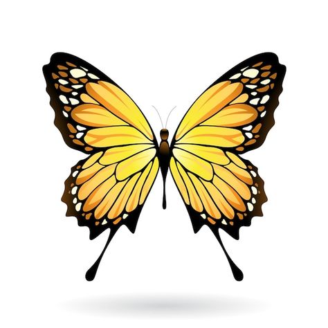 Vector yellow and black butterfly illust... | Premium Vector #Freepik #vector #butterfly-icon #blue-butterfly #colorful-butterfly #butterfly-wings Butterfly Illustration, Airbrush Art, Yellow Butterfly, Black Butterfly, Yellow And Black, Yellow Black, Premium Vector, Graphic Resources, Yellow