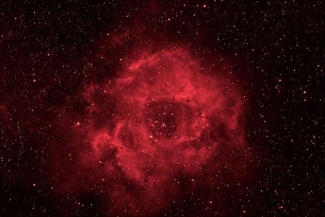 Rosette nebula (color version) Cosmic Rose, Rosette Nebula, Space Things, Red Galaxy, Sony A6300, Red Filter, Laptop Wallpapers, Roman Art, Cartoon Memes