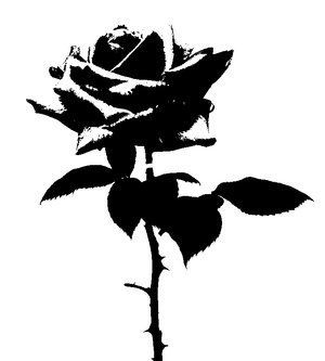 White Widgets, Easy Tattoos, Stencil Street Art, Rose Stencil, Cool Stencils, Stencil Graffiti, Stippling Art, Rosé Black And White, Art Stencils