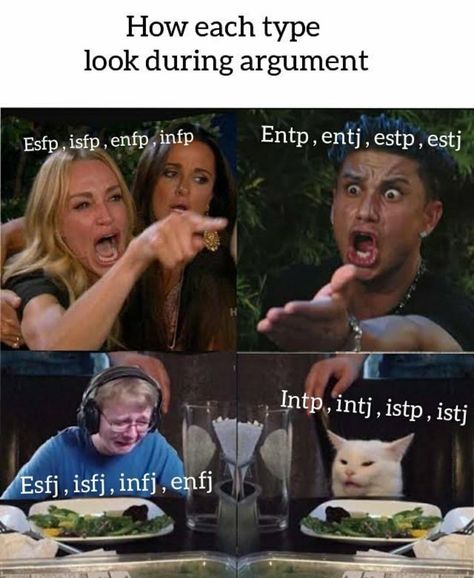 Entp Infj, Intp Entj, Intp Relationships, Infp Enfj, Mbti Istj, Entp Personality Type, 16 Personality Types, Entj Entp, Facial Reconstruction