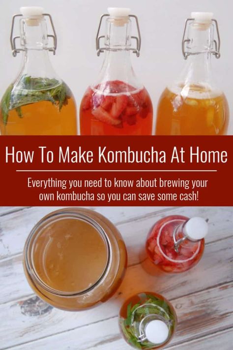 Pineapple Kombucha, Blueberry Kombucha, Cranberry Kombucha, Decadent Recipes, Multicultural Recipes, Make Kombucha, Kombucha Bottles, Kombucha Benefits, Kombucha Flavors