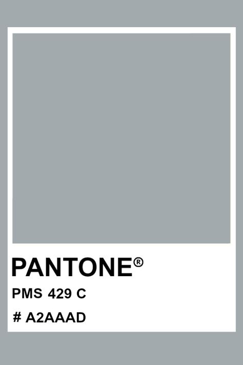 PANTONE 429 C #pantone #color #PMS #hex Winter Pallette, Plum Paint Colors, Cool Summer Palette, Pantone Matching System, Pantone Colours, Pantone Color Chart, Pantone Swatches, Pantone Palette, Pantone Colour Palettes