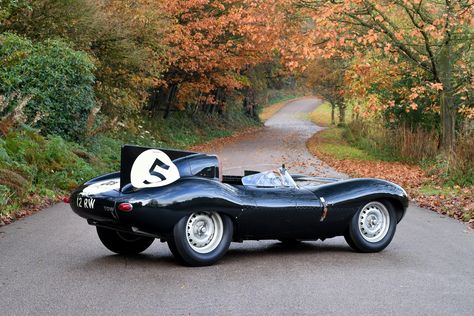 1956 Jaguar D-Type | Classic Driver Market Performance Cars, Old Cars, Jaguar, Jeep, The Globe, Bmw Car, Sports Car, Italy, Japan