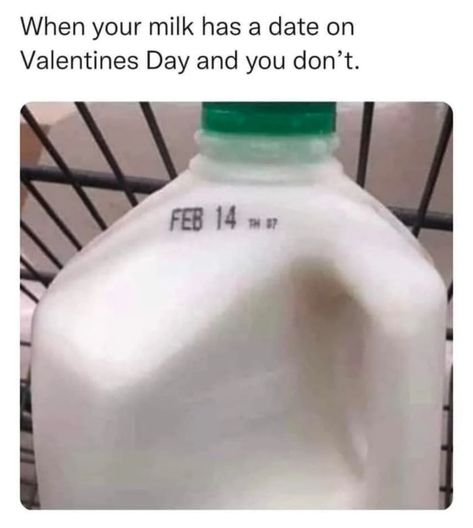 Single's Awareness Day is upon us once again. Find joy in the dark void that is your love life with these funny Valentine's Day memes. #valentines #memes #funny #valentinesday Quotes Valentines Day, Laughing Funny, Anne Taintor, 9gag Funny, Humor Videos, Carl Grimes, Random Funny Stuff, 웃긴 사진, Crazy Funny Memes