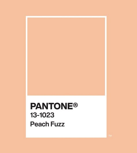 PANTONE Color Of The Year 2024: PANTONE 13-1023 Peach Fuzz. Peach Pantone 2024, Pantone Color 2024 Peach Fuzz, Pantone 13-1023 Peach Fuzz, Pantone Color Of The Year 2024, Peach Fuzz Pantone 2024, Pantone Color 2024, Peach Fuzz Color, Pantone Peach Fuzz, 2024 Color Of The Year