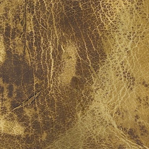 Old Leather Textures - Tuts+ Design & Illustration Article Leather Texture Pattern, Sofa Chester, Microscope Images, Animal Texture, Handbag Diy, Materials And Structures, Free Textures, Photoshop Textures, Fabric Textures