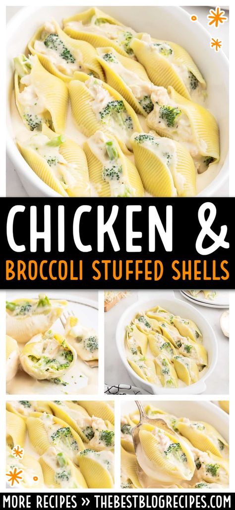 Chicken Broccoli Stuffed Shells combine creamy Alfredo sauce, tender chicken, and fresh broccoli in a comforting, easy-to-make pasta dish. Perfect for family dinners or special occasions, this recipe will satisfy everyone’s cravings. Stuffed Shells With Chicken And Broccoli, Chicken And Cheese Stuffed Shells, Shell Recipes Stuffed, Stuffed Shells Side Dish, Stuffed Chicken Shells Recipes, Chicken Broccoli Stuffed Shells, Chicken Stuffed Shells Recipe, Chicken Broccoli Alfredo Stuffed Shells, Alfredo Stuffed Shells Chicken