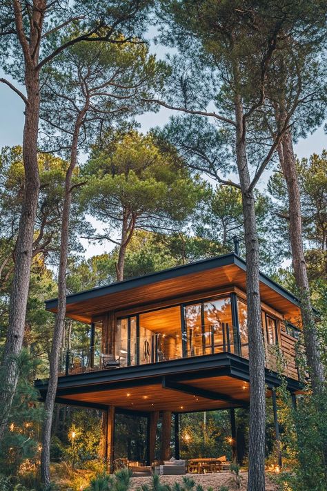 Modern treehouse timber cabin home in a stunning pine forest with high trees. Check out all of these cozy and innovative timber cabins to spark your imagination and elevate your rustic living dreams. Houses In Forests Woods, Glass Tree House, Modern Cabins In The Woods, Modern Lake Cabin, Small Modern Cabin Plans, Modern House In The Forest, Cabin Chronicles, Modern Treehouse, Modern Cabin Plans