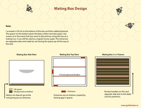 Queen Mating Nuc | Golden Bee Apiaries Bee Nuc, Bee Hive Plans, Bee Keeping, Bee Hive, Bee, Finding Yourself, Queen, How To Plan