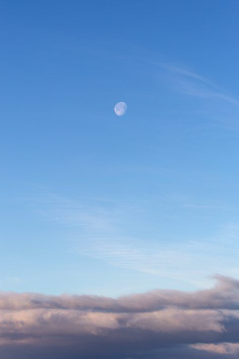 Daytime Moon in Sky Moon In The Daytime, Moon At Daytime, Blue Sky With Moon, Moon Daytime, Moon In Blue Sky, Daytime Moon, Vaporwave Aesthetic, Live Picture, Sky Pictures