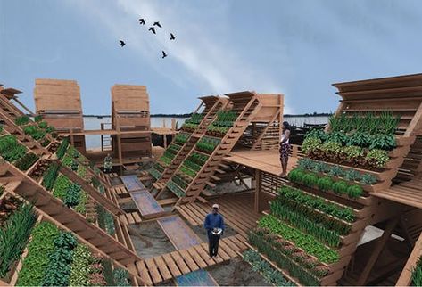 Urban Garden Design, Vertical Farming, Aquaponics System, Vegetable Garden Design, Hydroponic Gardening, Rooftop Garden, Design Magazine, Community Gardening, Urban Farming