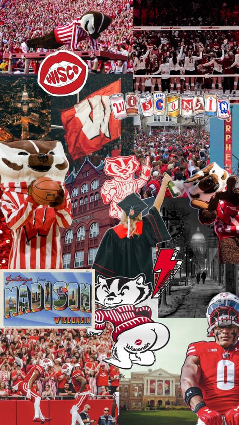 #uwmadison #wisconsin #wisco #buckybadger #bucky #midwest Madison Wallpaper, Good Vibes Wallpaper, Bucky Badger, College Vision Board, Dream Collage, Uw Madison, Dream School, College Experience, Madison Wisconsin