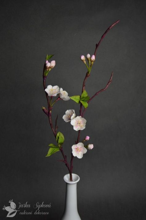 Cherry Blossom - Cake by JarkaSipkova Cherry Blossom Sculpture, Cherry Blossom Arrangement, Cherry Blossom Cake, Blossom Cake, Ikebana Flower Arrangement, Flower Bouquet Diy, Paper Plants, Decorated Flower Pots, Gum Paste Flowers