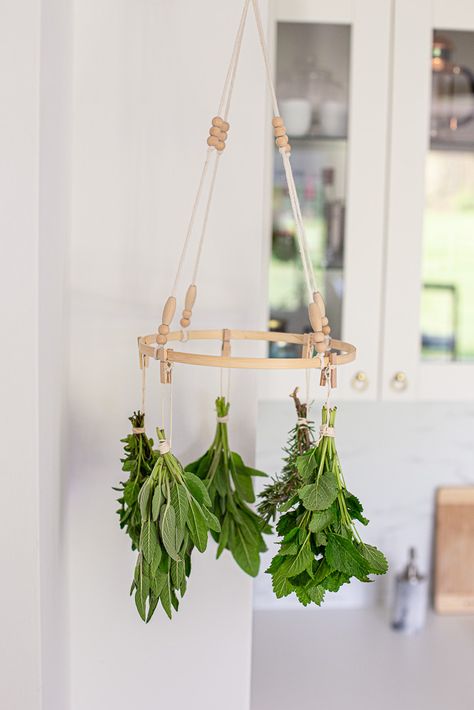 Frosted Candle Jar, Drying Fresh Herbs, Herb Rack, Herb Drying, Frosted Candles, Hanging Drying Rack, Hanging Herbs, Hydroponic Plants, Clothes Drying Racks