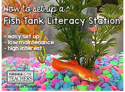 Virginia is for Teachers: Fish Tank Literacy Station Classroom Aquarium Ideas, Community Fish Tank Ideas, Classroom Grant Ideas, Fish Tank In Nursery, Classroom Fish Tank, Fish Tank In Classroom, Library With Fish Tank, Classroom Aquarium, Pretend Fish Tank