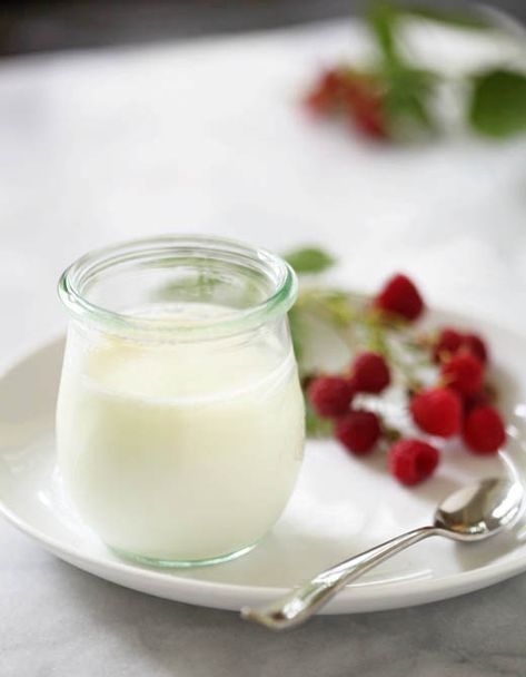 Home Made Yoghurt, Coconut Yoghurt Recipe, Homemade Yogurt Recipes, Yogurt Benefits, Yoghurt Recipe, Desayuno Keto, Food Matters, Probiotic Foods, Homemade Yogurt