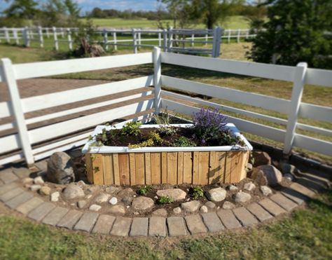 Bathtub Planter Ideas, Old Bathtub Ideas Garden Outdoor Baths, Bathtub Garden Ideas, Bathtub Planter, Garden Bathtub, Old Bathtub, Diy Bathtub, Garden Goals, Crows Nest