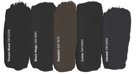 Your Go-To Color Theory Guide | Tinted by Sherwin-Williams Sherwin Williams Black Paint Colors, Sherwin Williams Black Magic, Sherwin Williams Black, Black Paint Colors, Sherwin Williams Green, Black Paint Color, Darkest Black Color, Decor Color Palette, William Black