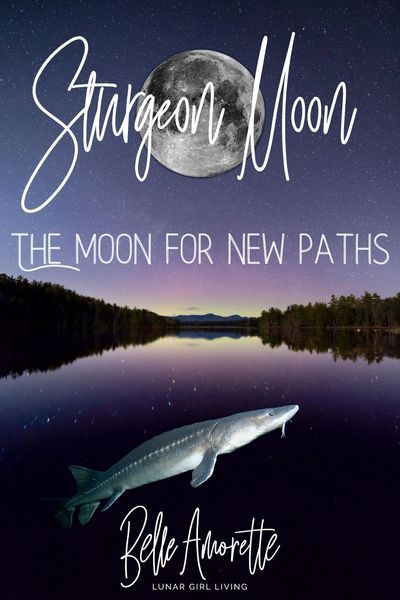 In August, change is just around the corner! For Moon lovers, the August Sturgeon Moon is a time to look within. What needs releasing this month? Learn more about the August Sturgeon Moon and the energy available to help align us on new paths + Moon Activities we can try throughout the month! August Full Moon 2023, Moon Activities, What Is Spirituality, Sturgeon Moon, Lunar Witch, Moon Names, Moon Magick, Moon In Aquarius, Moon Astrology