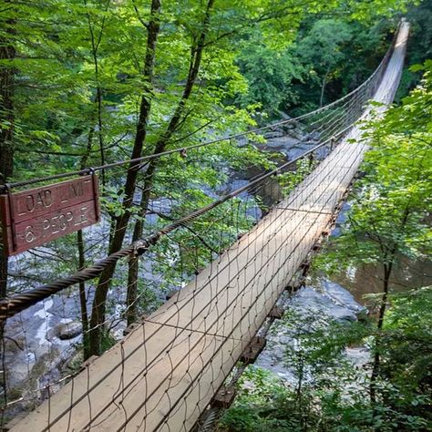 Suspension bridge over Cane Creek Falls at Fall Creek Falls State Park, Tennessee. Fall Creek Falls Tennessee, Kinzua Bridge State Park, Cooper River Bridge, Capilano Suspension Bridge Park, Falls Creek, Fall Creek, Bridge Over Troubled Water, Toccoa River Swinging Bridge, Tennessee Travel