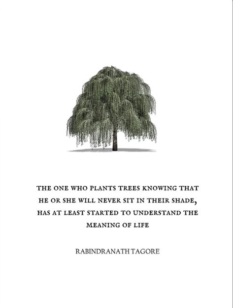 Weeping Willow Quotes, Inspirational Tree Quotes, Weeping Willow Tree Meaning, Be Like A Tree Quotes, Quotes About Trees Wise Words, Bonsai Quotes, Tree Quotes Inspirational, Willow Tree Quotes, Circle Of Life Quotes