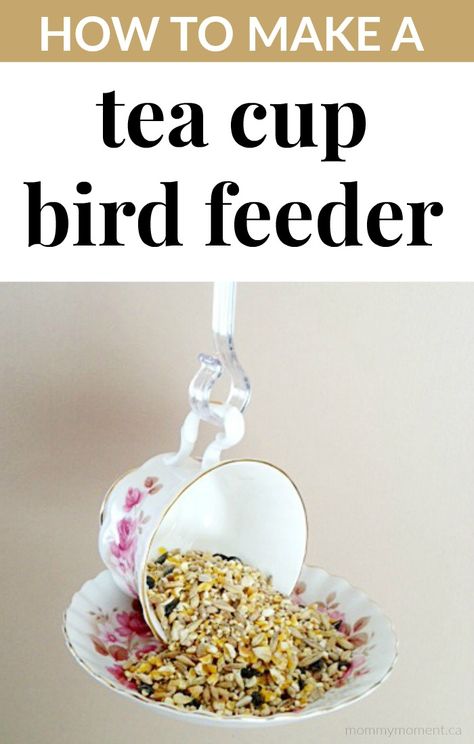 You are going to love this DIY Tea Cup Bird Feeder! The snow is melting and spring is just around the corner (yay!). Teacup Bird Feeders, Teacup Bird Feeder Diy, Homemade Bird Houses, Diy Tea, Teacup Crafts, Tea Cup Bird Feeder, Crafts For Teens To Make, Diy Videos Tutorials, Diy Bird Feeder