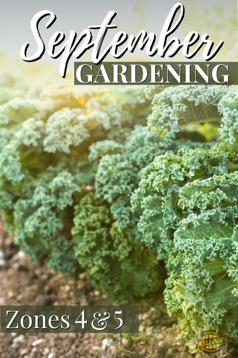 Fall Garden Prep, Kitchen Garden Ideas, Raised Beds Garden, Homestead Garden Layout, September Garden, Garden Checklist, Full Garden, Homestead Gardening, Fall Crops