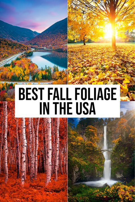 Where to see the most beautiful fall foliage in the USA! | fall foliage | fall foliage road trip | fall foliage New England | fall foliage USA | Fall Travel Destinations, Fall Foliage Road Trips, Fall Road Trip, Visit Usa, Travel Bucket List Usa, Us Road Trip, Usa Travel Guide, Usa Travel Destinations, Fall Travel