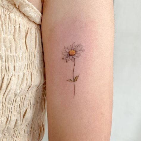 Daisie Tattoo, Tiny Daisy Tattoo, Fine Line Daisy Tattoo, Daisies Tattoo, Daisy Tattoo Ideas, Daisy Flower Tattoo, Small Daisy Tattoo, Daisy Tattoos, Daisy Tattoo Designs