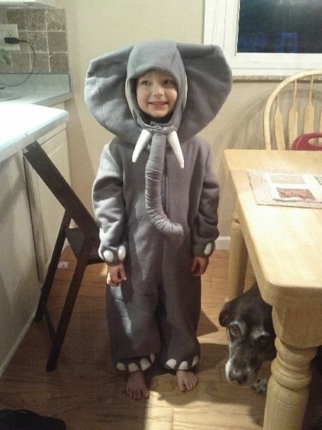 Elephant costume/2012 Elephant Costume Diy, Elephant Costume, Elephant Costumes, Elephants Playing, Diy Costumes Kids, Costume Diy, Tiny Humans, Movie Star, Purim