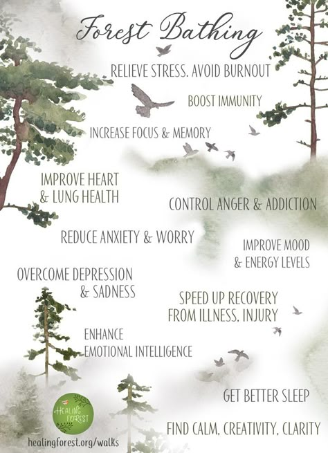 Forest Bathing – What, How, Where? A beginner’s guide | Healing Forest Japanese Practice, Shinrin Yoku, Lungs Health, Forest Bathing, Improve Mood, Ways To Relax, Therapy Activities, Walking In Nature, Natural Healing