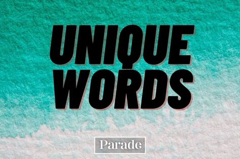 250 Totally Unique Words Most People Have Never Heard of (That Are Tons of Fun to Work Into Random Conversations) Creative Words With Meaning, Cool Words Creative, Three Word Quotes, Interesting Words, Words In Different Languages, English People, English Dictionary, Corny Jokes, Interesting English Words