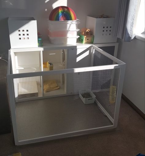 Rabbit hutch diy, ikea kallax hack Ikea Rabbit Hutch, Rabbit Ikea Hack, Ikea Rabbit Hack, Ikea Bunny Hack, Rabbit Food Storage Ideas, Rabbit House Diy, Diy Rabbit Hutch Indoor, Diy Bunny Cage Indoor, Rabbit Hutch Ideas