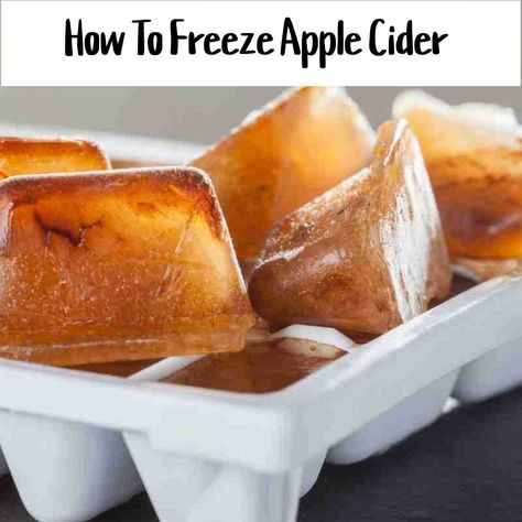 Can you freeze apple cider? Can You Freeze Apples, Coffee Ice Cubes Recipe, Ice Cube Recipe, Pesto Gnocchi, Leftover Apples, Apple Pie Smoothie, Hard Apple Cider, Freezing Apples, Gnocchi Recipe