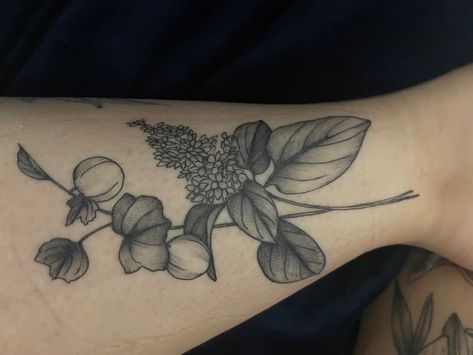 Gooseberry Tattoo, Lilac And Gooseberries Tattoo, Blackberry Hip Tattoo, Bee And Blackberry Tattoo, Bat And Floral Tattoo, Lilac And Gooseberries, Plant And Bug Tattoo Sleeve, Tattoo Inspo, Tattoo Design