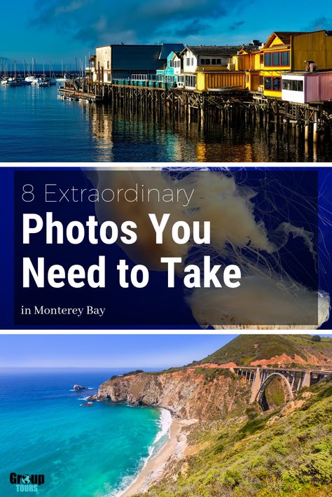 We've compiled a list of the top 8 spots to take a great photograph within Monterey Bay, several iconic shots waiting to be captured all throughout. Trust us, this was a tough list to narrow down, as most of the peninsula is simply gorgeous. California Coast Road Trip, Monterey Peninsula, Coastal Cities, Monterey Bay, California Coast, Group Tours, A Call, Field Trip, The Pacific