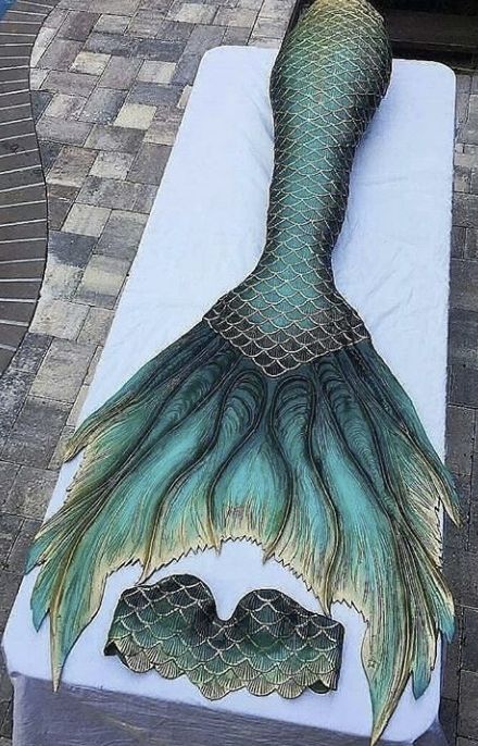 Mermaid Tail Inspiration, Green Mermaid Tail Aesthetic, Dark Green Mermaid Tail, Mermaid Aesthetic Tail, Aesthetic Mermaid Tail, Mermaid Tails Aesthetic, Dark Mermaid Tail, Mermaid Clothes Aesthetic, Green Mermaid Aesthetic