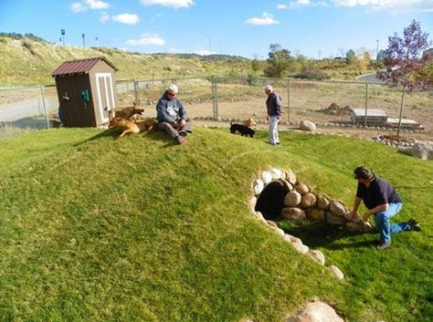 dog tunnel park mound - Google Search: Dog Tunnel Backyard, Agritourism Activities, Dog Garden Ideas, Dog Tunnel, Dog Park Design, Pet Friendly Yard, Outdoor Dog Runs, Search Dog, Dog Enclosure